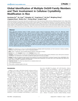 Global Identification of Multiple OsGH9 Family Members and