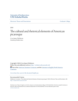 The cultural and rhetorical elements of American picaresque
