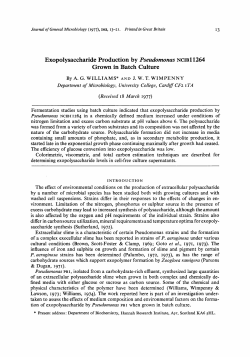 Exopolysaccharide Production by Pseudomonas