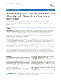 Chromosomal painting and ZW sex chromosomes