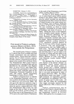 First record of Podarcis pelopon- nesiacus (BmnoN