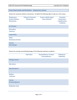 Exam Study Guide and Worksheet &ndash; Respiratory System