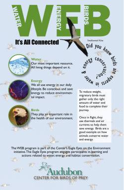 It`s All Connected Did you know birds are ex pe rts in wa