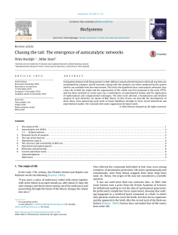 Chasing the tail: The emergence of autocatalytic networks