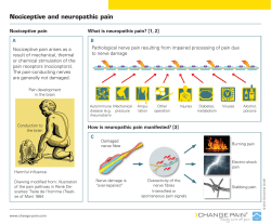 Nociceptive and neuropathic pain | CHANGE PAIN