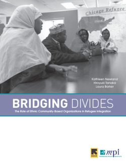 Bridging Divides - Migration Policy Institute