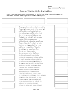Romeo and Juliet: Act II.iii (The Grey