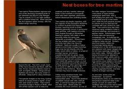 Nest boxes for tree martins - Natural Resources South Australia