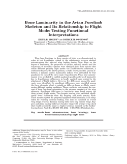 Bone Laminarity in the Avian Forelimb Skeleton