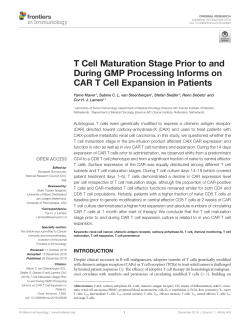 T Cell Maturation Stage Prior to and During GMP Processing Informs