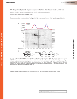 ADP ribosylation adapts an ER chaperone response to short