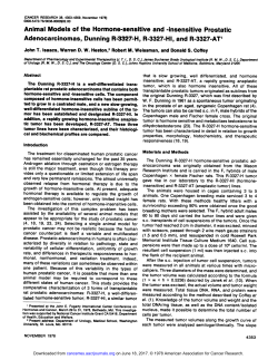 insensitive Prostatic Adenocarcinomas, Dunning