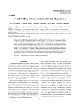 Maria 2 - CONICET Digital