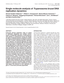 Single molecule analysis of Trypanosoma brucei DNA replication