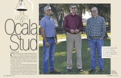 The Legacy of Ocala Stud