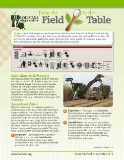 From the Field to the Table