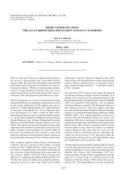 217 short communication: the javan rhinoceros rhinoceros