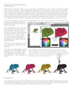 SELECTIVE COLOR ADJUSTMENT by Brad Sheehan Often times