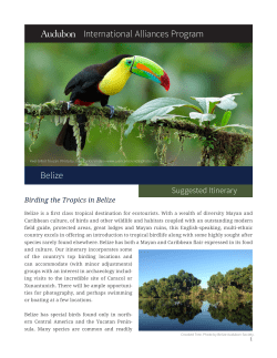 Belize - Audubon