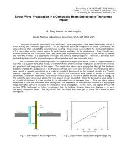 Stress Wave Propagation in a Composite Beam Subjected to