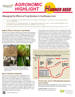 Managing the Effects of Crop Residue in Continuous Corn