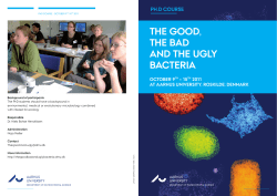 the good, the bad and the ugly bacteria