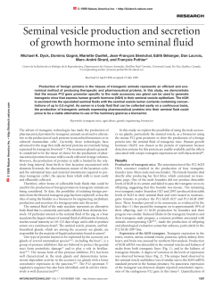 Seminal vesicle production and secretion of
