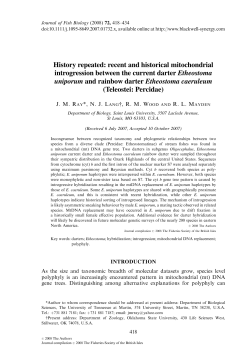 History repeated: recent and historical mitochondrial introgression