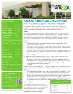 Collateral Support Insurance Program Flyer