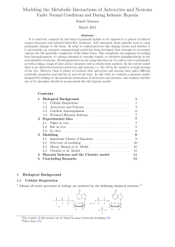 Modeling the Metabolic Interactions of Astrocytes and Neurons