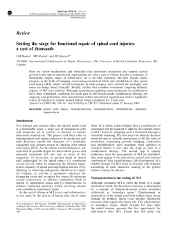 Review Setting the stage for functional repair of spinal cord