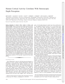 Human Cortical Activity Correlates With Stereoscopic Depth