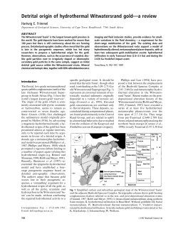 Detrital origin of hydrothermal Witwatersrand gold&ETH;a review
