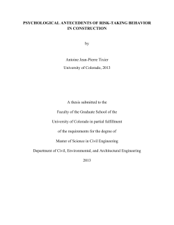 PSYCHOLOGICAL ANTECEDENTS OF RISK