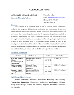 CURRICULUM VITAE