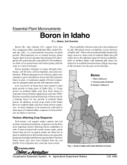 Boron in Idaho - University of Idaho