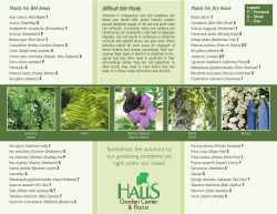 Sometimes the solutions to our gardening problems are right under