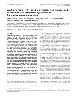 Las1 interacts with Grc3 polynucleotide kinase and is required for