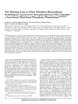 The Missing Link in Plant Histidine Biosynthesis