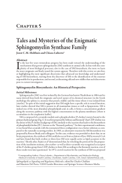 Tales and Mysteries of the Enigmatic Sphingomyelin Synthase Family