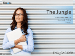 The Jungle
