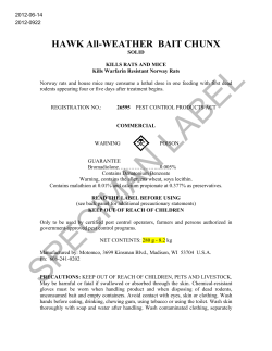 HAWK All-WEATHER BAIT CHUNX