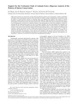 Support for the Coelomata Clade of Animals from a Rigorous