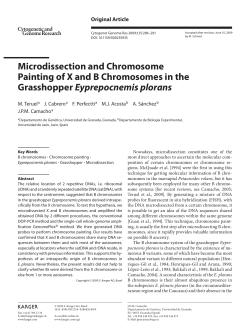 Microdissection and Chromosome Painting of X and B