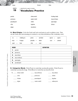 Ch 19 study guide