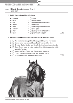 photocopiable worksheet