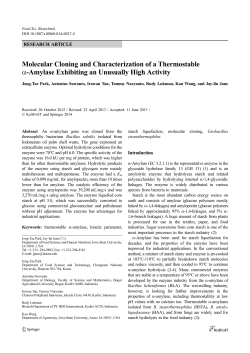 Molecular Cloning and Characterization of a Thermostable &alpha;