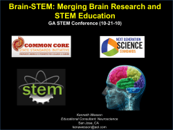 Brain-STEM: Merging Brain Research and STEM