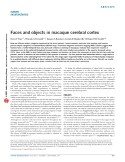 Faces and objects in macaque cerebral cortex