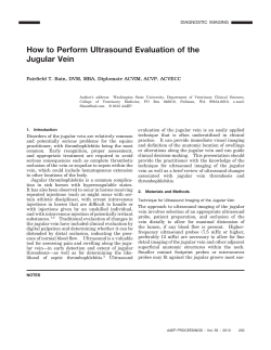 How to Perform Ultrasound Evaluation of the Jugular Vein